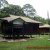 Mentawai Ranger Station surrounded by nature